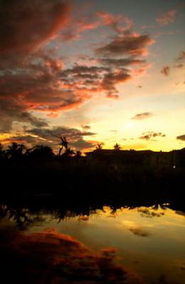 sunset, pink, yellow, silhouette, landscape, reflection