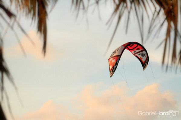 red kite, kiteboarding, palms, tropics, clouds, blue, pink,