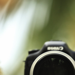 canon, 70-300, lens, L series, canon lens, https://wetravelandblog.com