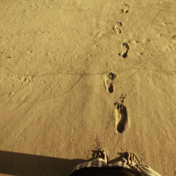 footprints, sand prints, sand, ocean, beach, choose your own path