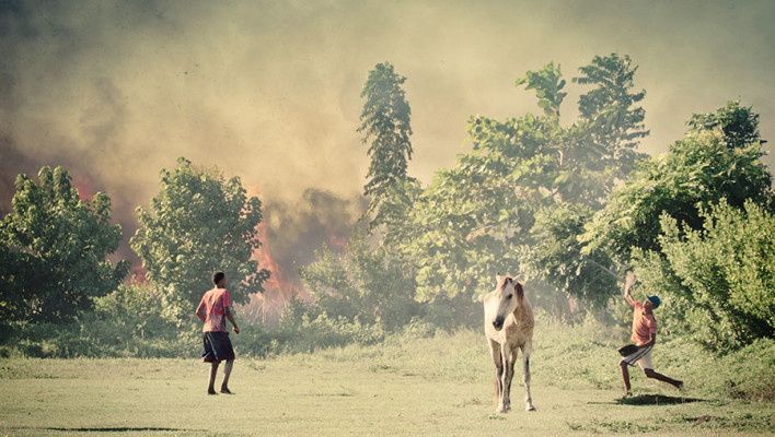 horse, fire, baseball, dominican republic