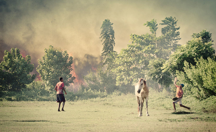 horse, fire, baseball, dominican republic
