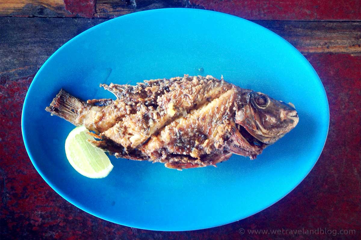 typical dominican food, fish, blue, typical, dominican republic, criolla, https://wetravelandblog.com