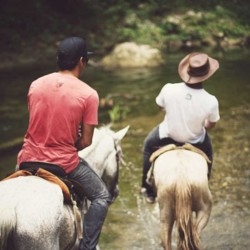 horse, adventure, dominican republic, two horses, magic, https://wetravelandblog.com
