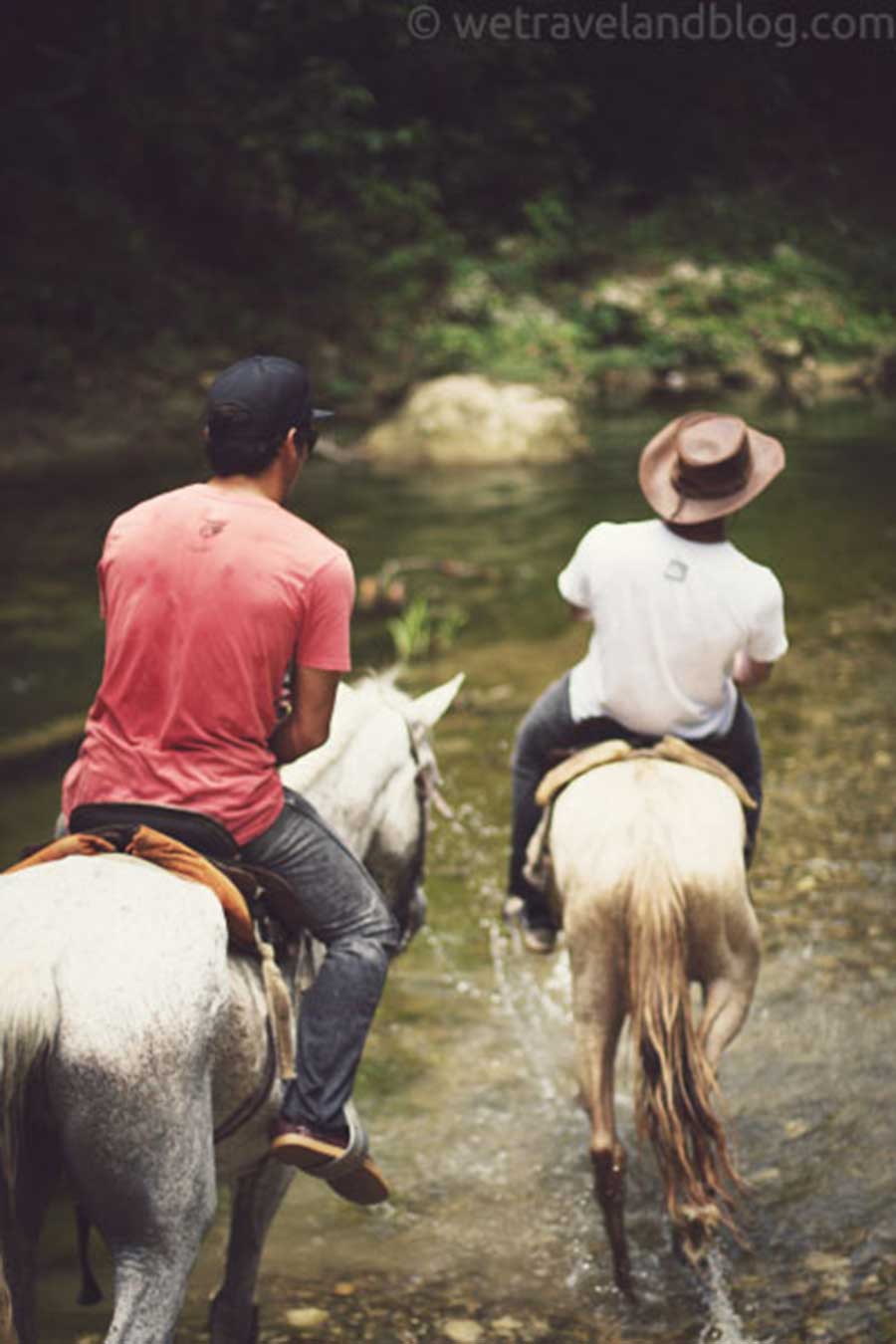 horse, adventure, dominican republic, two horses, magic, https://wetravelandblog.com