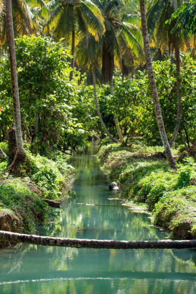 A Fresh Look at Landscapes of the Dominican Republic – We Travel and Blog