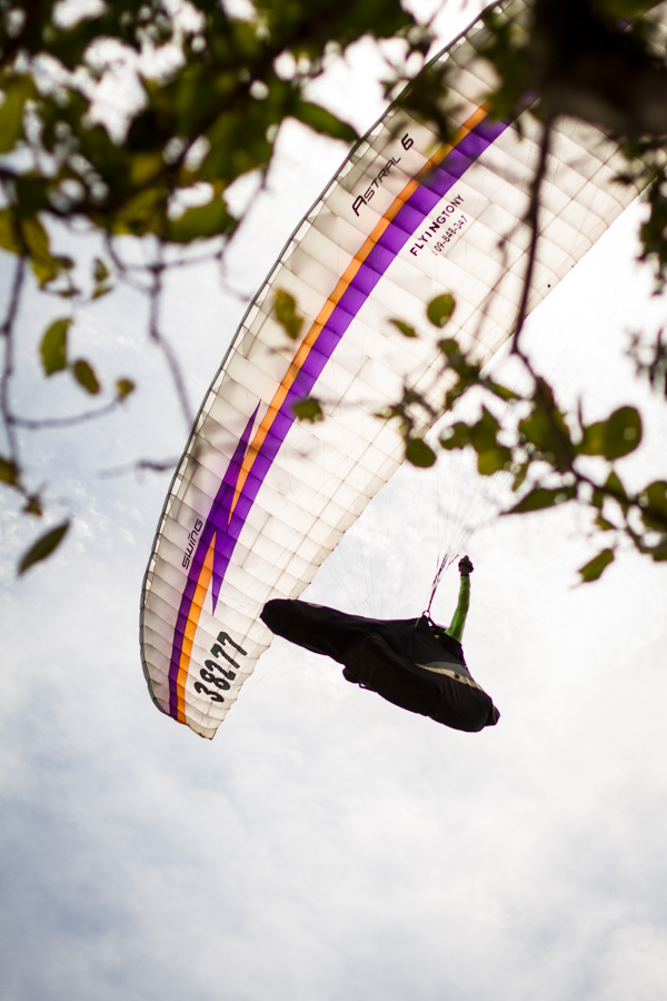 paragliding, flying tony, white, trees, leaves, framed, flying, dominican republic, https://wetravelandblog.com