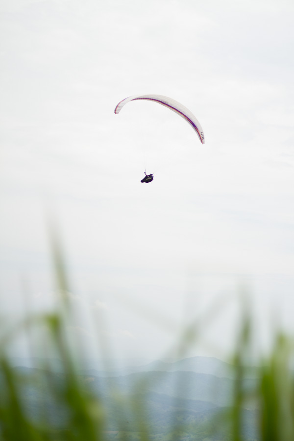 paragliding, parachute, grass, dominican republic, landscape, flying