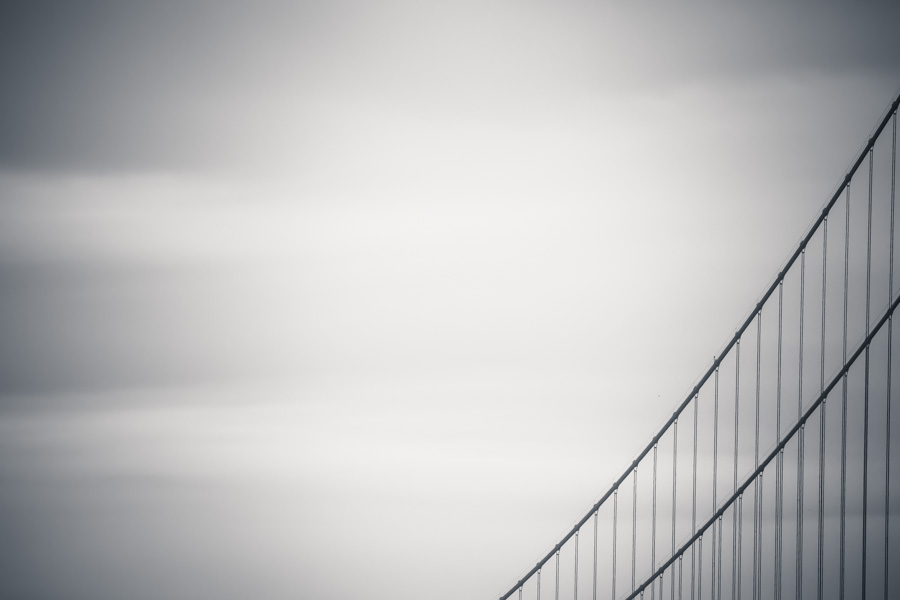 golden gate, bridge, abstract, cables, black and white
